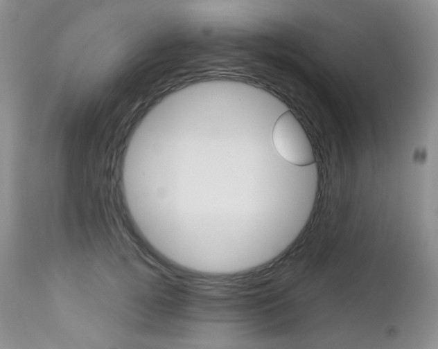 X0000113100752200908280951
