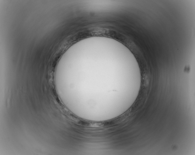X0000113100753200908280951