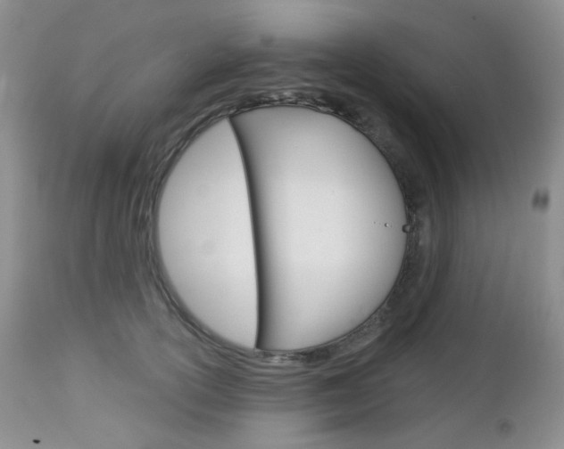 X0000113100754200908280952