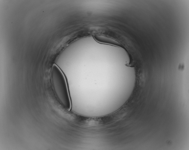 X0000113100756200908280952