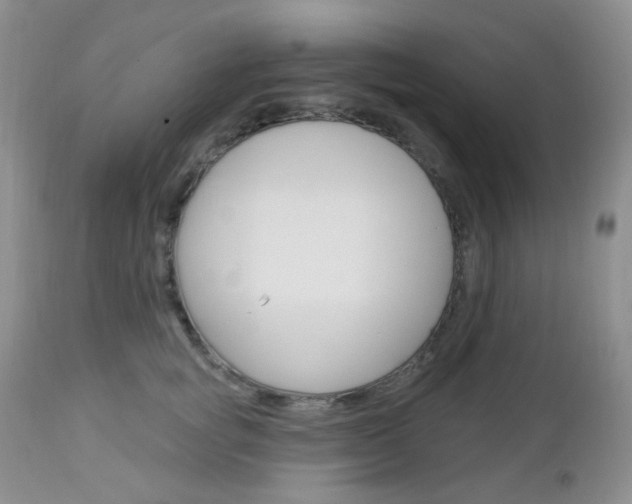 X0000113100757200908280952