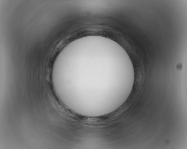 X0000113100758200908280952