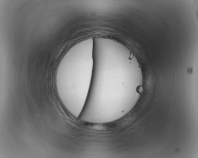 X0000113100759200908280952
