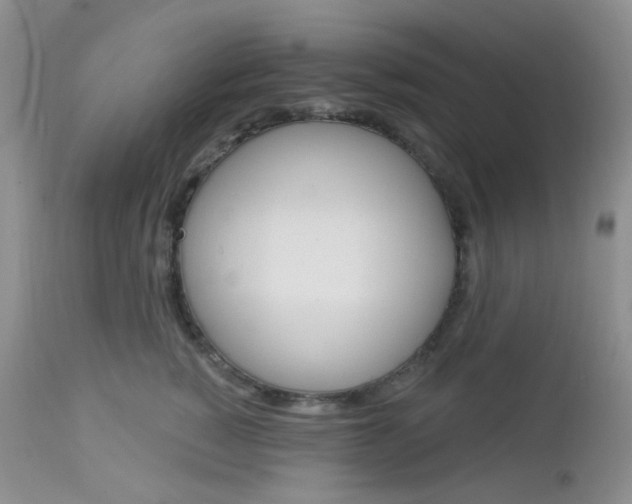 X0000113100760200908280952