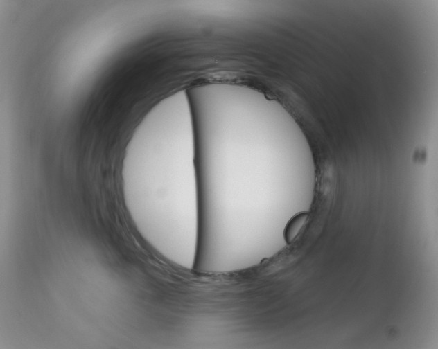 X0000113100763200908280952
