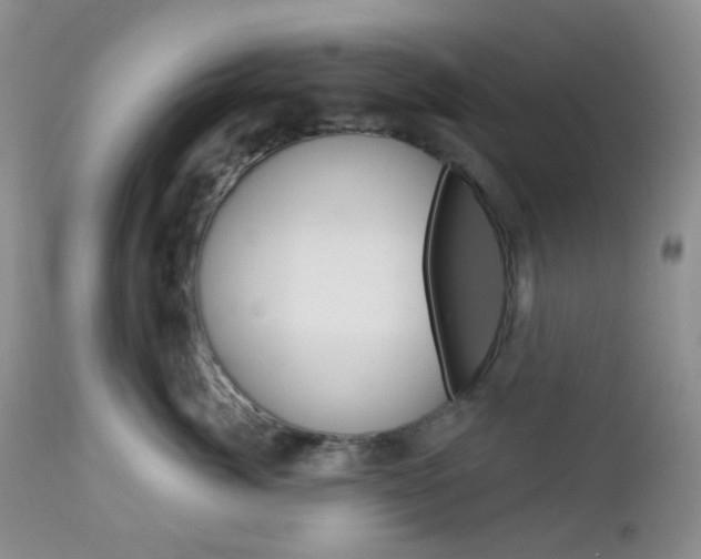 X0000113100764200908280952