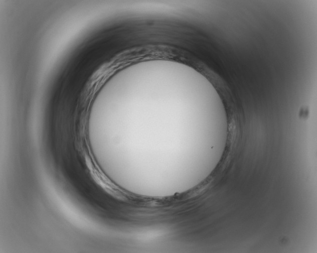 X0000113100765200908280952