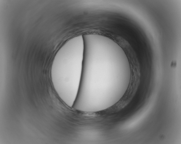 X0000113100767200908280952