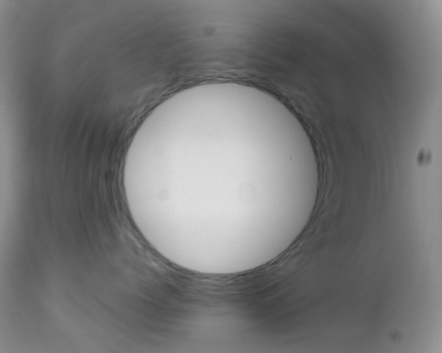 X0000113100768200908280952