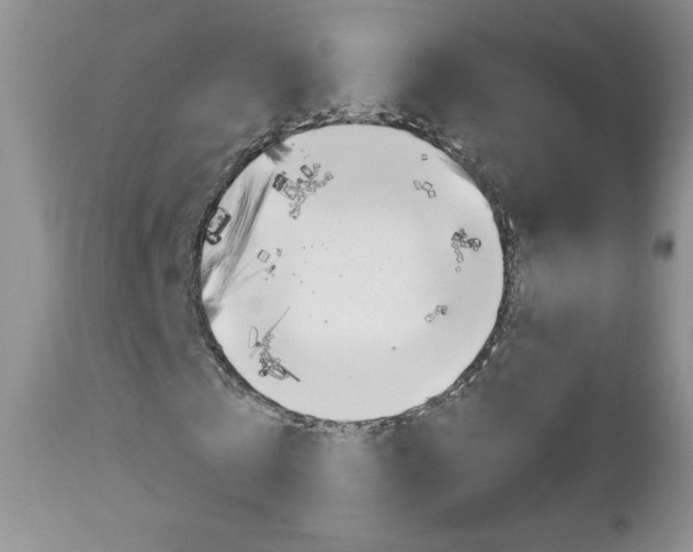 X0000113100769200908280951