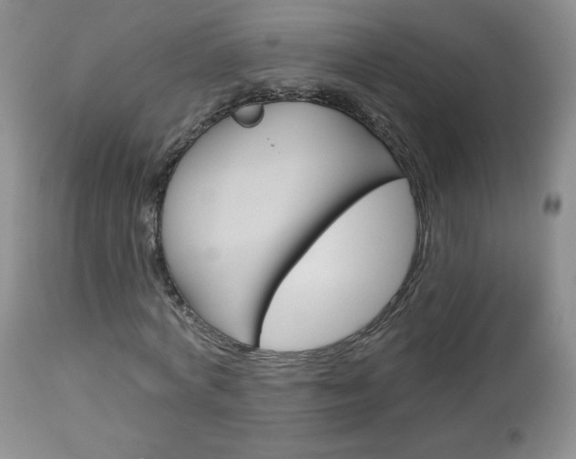 X0000113100772200908280951