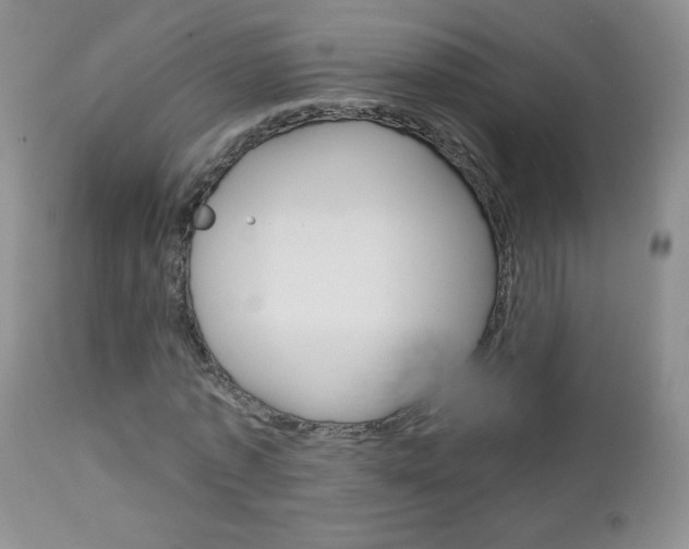 X0000113100773200908280951