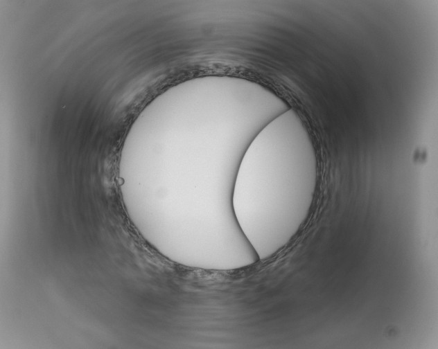 X0000113100774200908280951