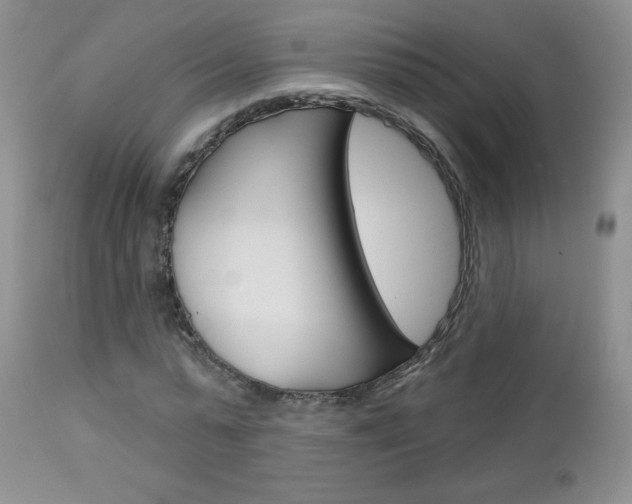 X0000113100775200908280951