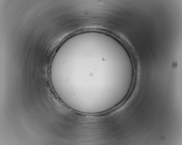 X0000113100777200908280951