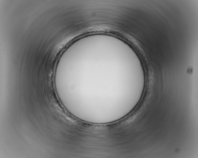 X0000113100778200908280951