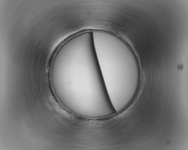 X0000113100779200908280951