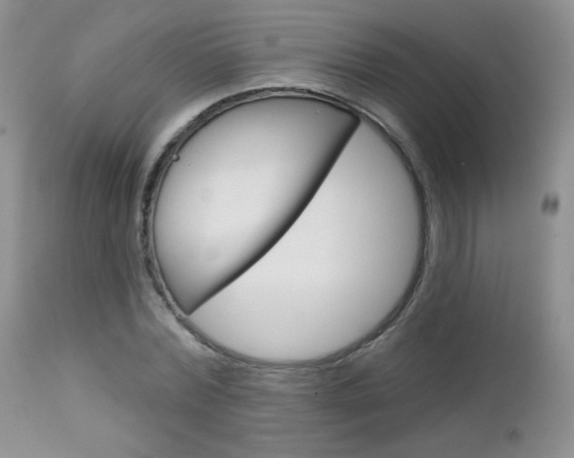 X0000113100780200908280951