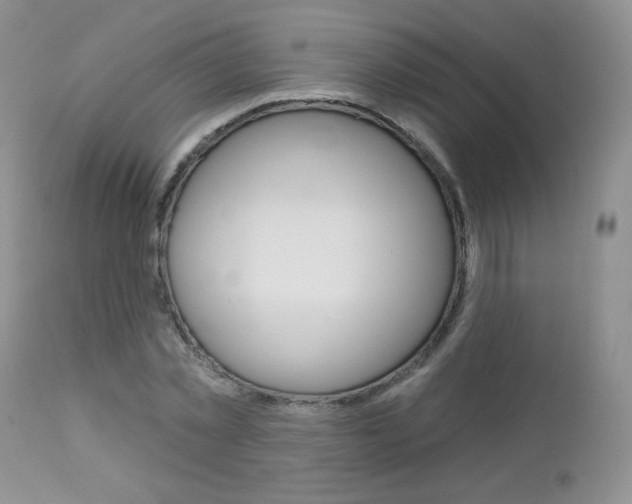 X0000113100781200908280951