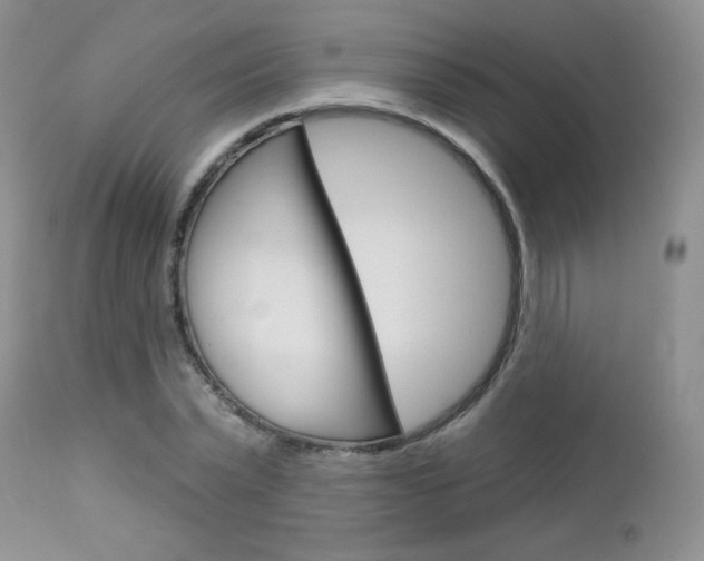 X0000113100783200908280951