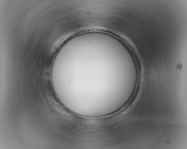 X0000113100785200908280951