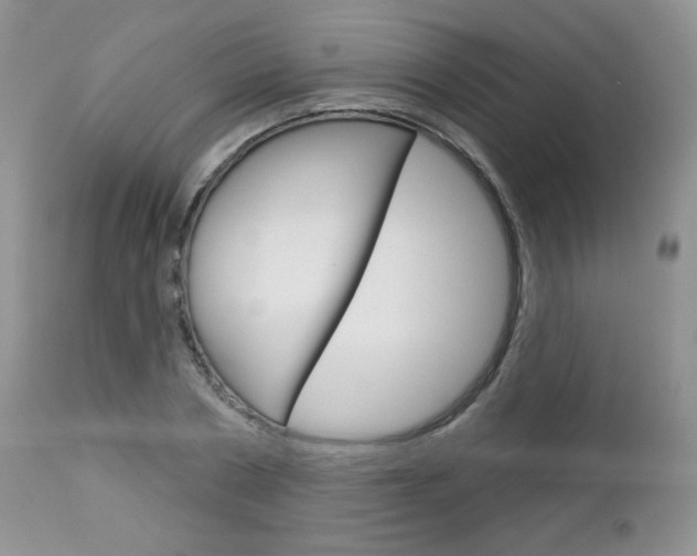 X0000113100786200908280951