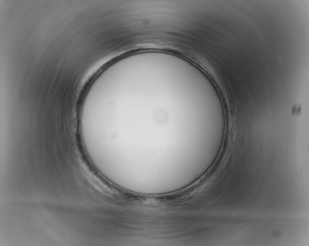X0000113100787200908280951