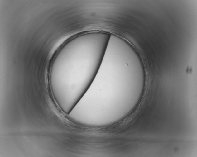 X0000113100788200908280951