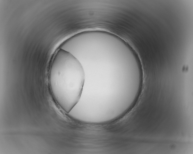 X0000113100789200908280951