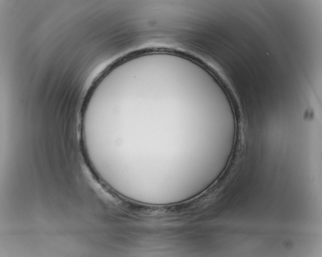 X0000113100791200908280951