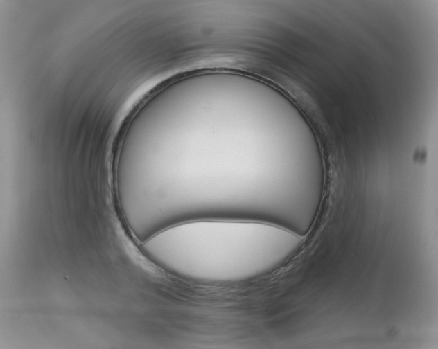 X0000113100792200908280951
