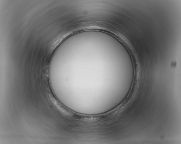 X0000113100793200908280951