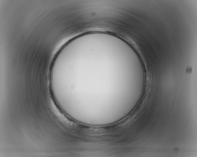X0000113100795200908280951