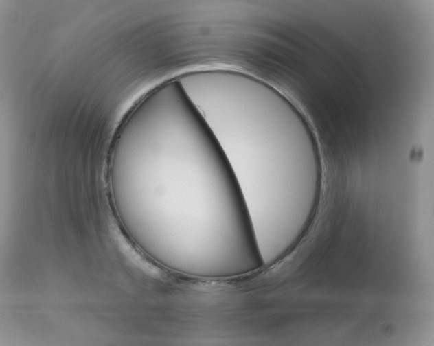 X0000113100797200908280950