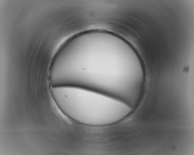 X0000113100799200908280950