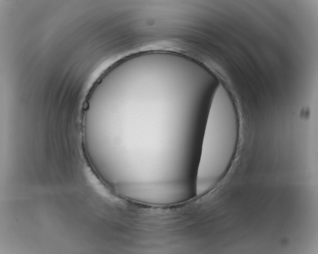 X0000113100800200908280950