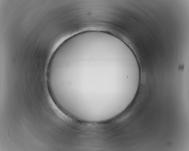 X0000113100803200908280950
