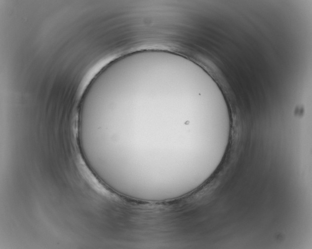 X0000113100804200908280950