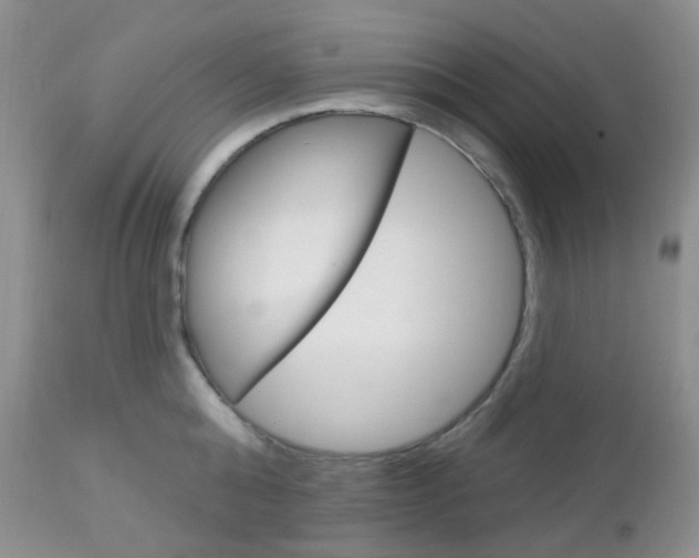 X0000113100808200908280950