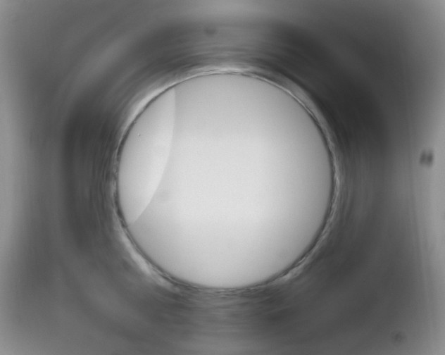 X0000113100810200908280950