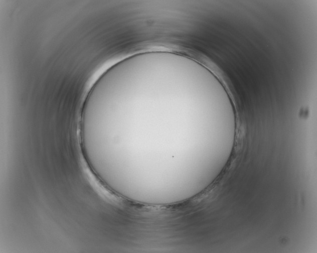 X0000113100811200908280950