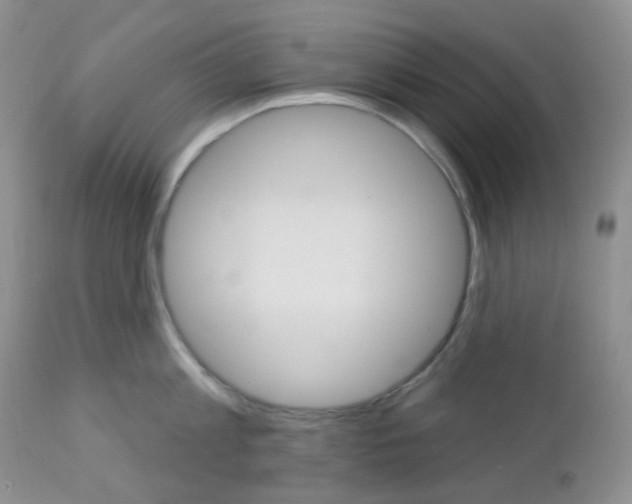 X0000113100813200908280950