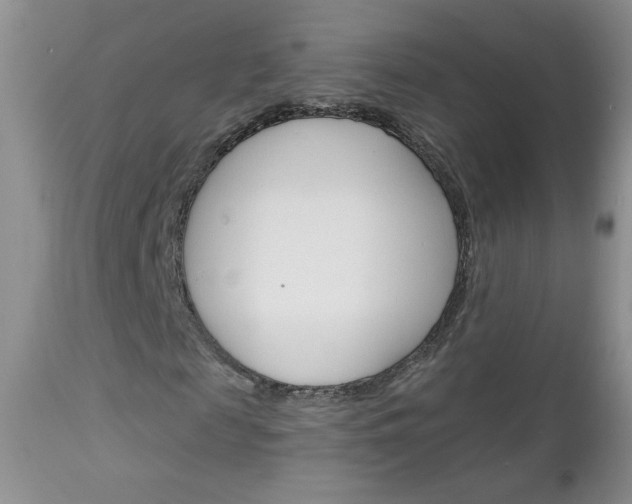X0000113100817200908280949