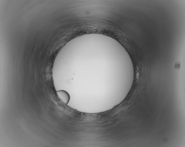 X0000113100819200908280949