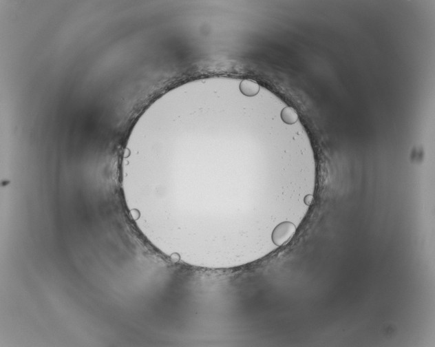 X0000113100820200908280949