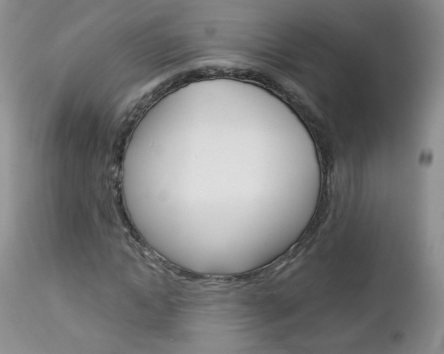 X0000113100822200908280949