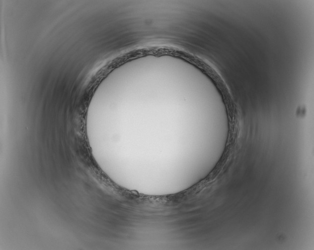 X0000113100823200908280949
