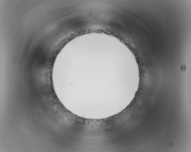 X0000113100824200908280949