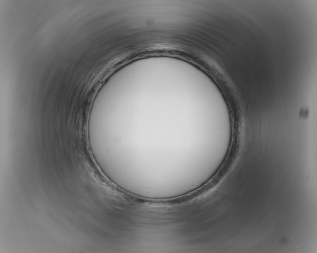 X0000113100825200908280949
