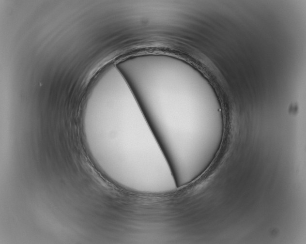 X0000113100826200908280950